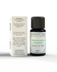Artemisia annua - Konzentrat