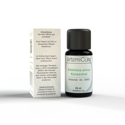 Artemisia annua Konzentrat – 24 ml