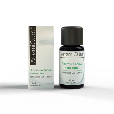 Artemisia annua Konzentrat – 24 ml