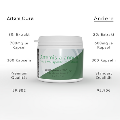 Artemisia annua - 30:1 Vollspektrumextrakt - 300 Kapseln