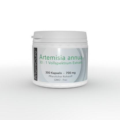 Artemisia annua - 30:1 Vollspektrumextrakt - 300 Kapseln